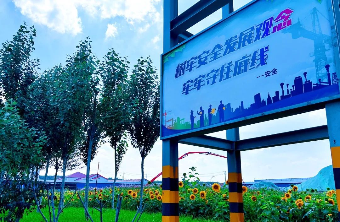 1692922245167155.jpg 640.jpg