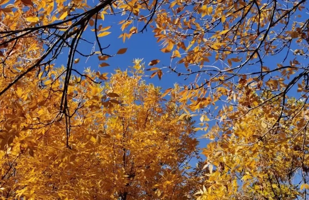 1697501474870398.jpg 640 (2).jpg