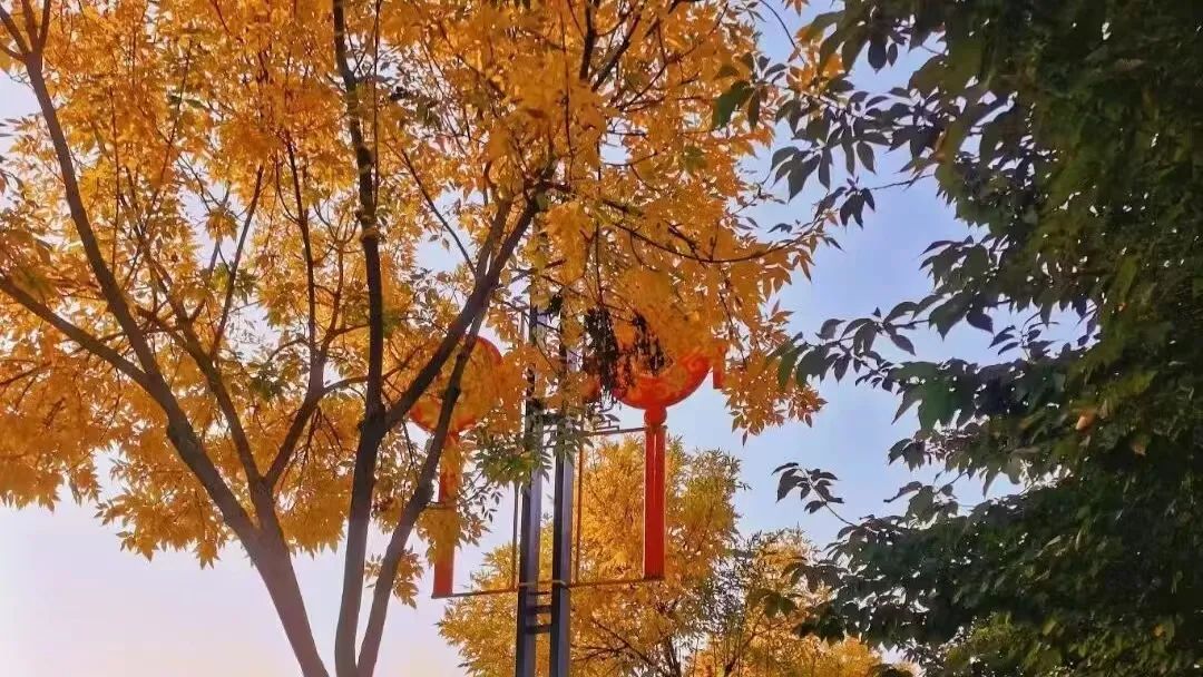 1697501479519624.jpg 640 (3).jpg